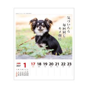 【9月より発送開始】アートプリントジャパン カ...の詳細画像3