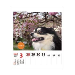 【9月より発送開始】アートプリントジャパン カ...の詳細画像4
