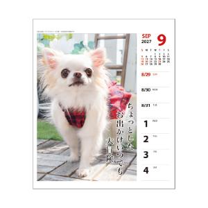 【9月より発送開始】アートプリントジャパン カ...の詳細画像5