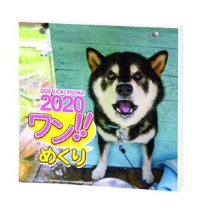 2020年 カレンダー ワン!!めくり リフィル 1000109226｜ogawahan