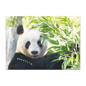 【9月より発送開始】アートプリントジャパン カ...の詳細画像3