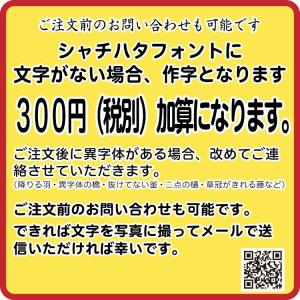 【別製品】ネームペン キャップレスS シルバー...の詳細画像5