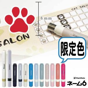 絵柄デザイン ネーム印 ネーム６ 別注品 限定カラー 長軸 6mm 直径