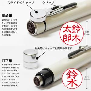 別注品 シヤチハタ シャチハタエルツイン くす...の詳細画像4