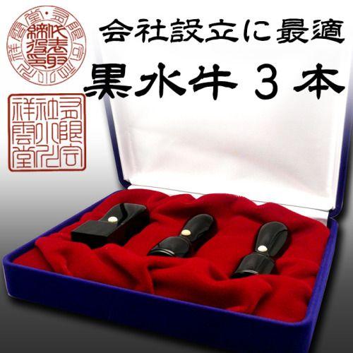 印鑑 実印 18mm 銀行印 16.5mm 角印 24mm 黒水牛 3本セット 会社 法人 はんこ