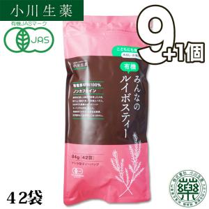 小川生薬 阿波晩茶 徳島県 乳酸発酵 健康茶 ティーバッグ 国産 日本茶