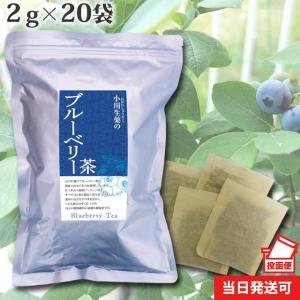 小川生薬 ブルーベリー茶 2g×20袋 便