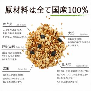 大麦 グラノーラ シリアル 添加物不使用 砂糖...の詳細画像2