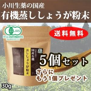 【10倍生姜】厳選小川生薬 国産有機蒸ししょうが粉末（蒸し生姜粉末） 30g 5個セットさらにもう1個プレゼント【蒸し生姜】【10倍しょうが】【10倍ショウガ】｜ogawasyouyaku