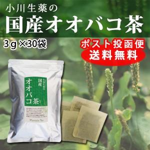 小川生薬 国産オオバコ茶 3g×30袋 ポスト投函便