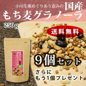 【まとめ買いでお得に大容量】 もち麦 グラノーラ シリアル 添加物不使用 砂糖不使用 ノンシュガー 国産 もちむぎ プレーン 小川生薬 爆買 9+1個セット
