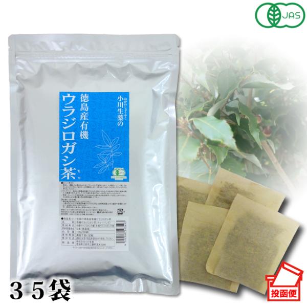 ウラジロガシ茶 オーガニック 国産 有機 JAS 無着色 無香料 保存料未使用 ノンカフェイン ティ...