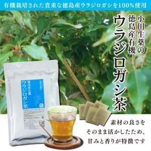 ウラジロガシ茶 オーガニック 国産 有機 JA...の詳細画像1