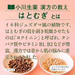 はとむぎ おやつ 300g お菓子 スナック ...の詳細画像1