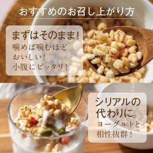 はとむぎ おやつ 300g お菓子 スナック ...の詳細画像3