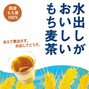 もち麦茶 麦茶 パック ティーバッグ 水出し ...の詳細画像1