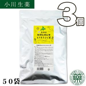 【まとめ買いでお得に大容量】 とうもろこし茶 コーン茶 韓国で人気のお茶 パック 水出し 国産 健康茶 ノンカフェイン ティーバッグ 小川生薬 爆買 3個セット