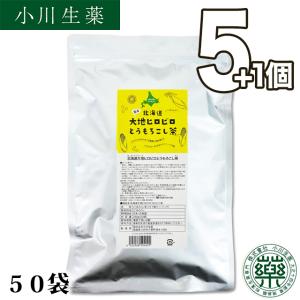 とうもろこし茶 コーン茶 韓国で人気のお茶 パック 水出し 国産 健康茶 ノンカフェイン ティーバッグ 100年以上続く 生薬会社 小川生薬 爆買 5+1個セット