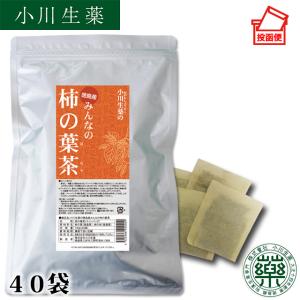 小川生薬 阿波晩茶 徳島県 乳酸発酵 健康茶 ティーバッグ 国産 日本茶