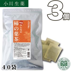 小川生薬 阿波晩茶 徳島県 乳酸発酵 健康茶 ティーバッグ 国産 日本茶