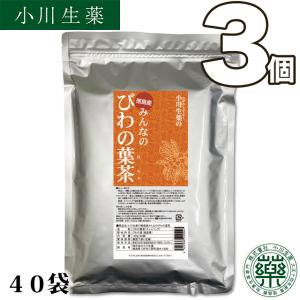 小川生薬 阿波晩茶 徳島県 乳酸発酵 健康茶 ティーバッグ 国産 日本茶