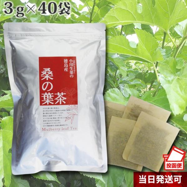 【 100年以上続く生薬会社の 徳島産 桑の葉茶 】（くわのは茶） 3g×40袋 ポスト投函便 小川...