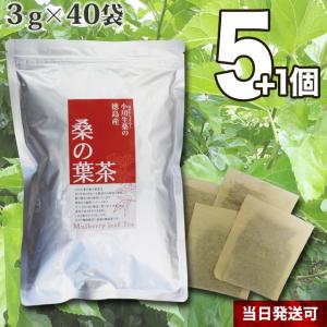 小川生薬 阿波晩茶 徳島県 乳酸発酵 健康茶 ティーバッグ 国産 日本茶
