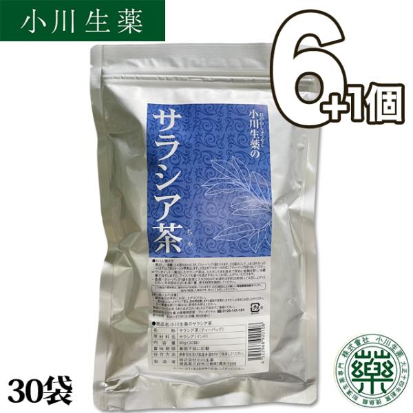 【まとめ買いでお得に大容量】　サラシア茶 さらしあ茶 サラシア100％ ノンカフェイン 飲みやすい ...