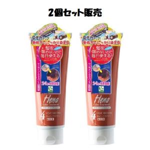 「お取扱終了」「2個セット販売」テンスター ヘナ カラートリートメント ライトブラウン 250g