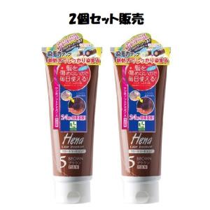 「お取扱終了」「2個セット販売」テンスター ヘナ カラートリートメント ブラウン 250g