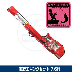 釣竿セット エギング セット 8.6フィート スピニングリール付き 釣り竿