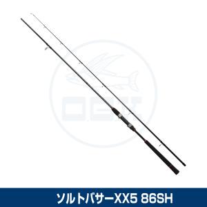 DAIWA（ダイワ） ラブラックスAGS 87MLB ／シーバスロッド