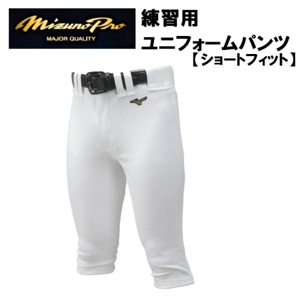 ミズノ 練習用ユニフォームパンツ ショートフィット 12JD9F1301 練習着 送料無料（商品代引...