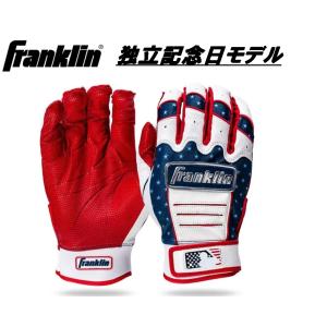 エスエスケイ（SSK） テクニカルピッチ 軟式J号球 TP003J SSK