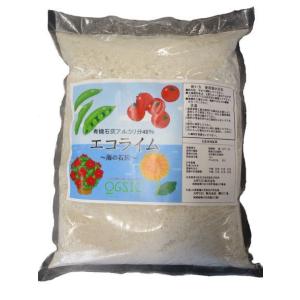 糸島産 カキ殻肥料 エコライム3kｇ 天然石灰 アルカリ性 効果が持続 有機石灰 牡蠣殻 家庭菜園 農業 野菜 肥料 畑 プランター 簡単 効果長持ち