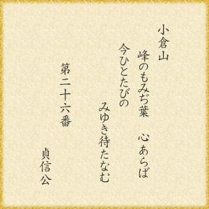 ãããå±±æ¥ç§ ãæé£ç¨ããè¢ï¼8ã¶å¥Ã5è¢ï¼(ä¿æ°3)çé¤ã»ãããã»ãããã»ã®ãã åå®ãã«ï½ogurasansouï½07
