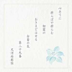 仏事用おかき詰合せ 白菊の花 化粧箱 (大)(...の詳細画像5