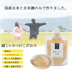 ＼送料無料/玄米こうじ甘酒 3パック 米麹 国...の詳細画像1
