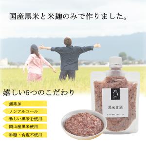 ＼送料無料/黒米甘酒 3パック 米麹 国産 無...の詳細画像1