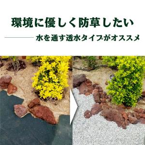 【お一人様1セット限り】70mm×110mm ...の詳細画像4