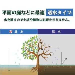 【お一人様1セット限り】70mm×110mm ...の詳細画像5
