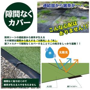 150mm巾×5m 人工芝 連結部 連結 接続...の詳細画像5