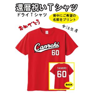 カープ風 吸汗速乾ドライTシャツ 背番号 名前 オリジナルプリント 野球