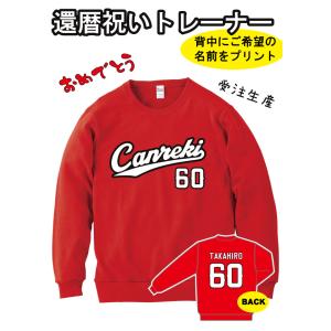 ☆送料無料☆読売 ジャイアンツ 巨人 中田翔 背番号＆毛筆 応援 刺繍