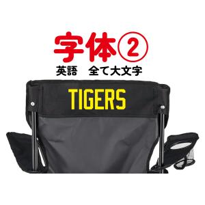 オリジナルチェア ネーム入りチェア チーム名 ...の詳細画像3