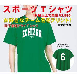 南海ホークス風 吸汗速乾ドライTシャツ 背番号 野球 誕生日 レジェンド