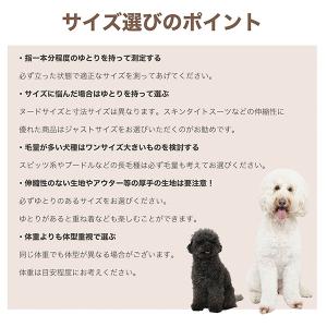 マンダリンブラザーズ MANDARINE BR...の詳細画像3