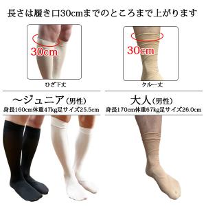 バレエハイソックス ジュニアから大人用の詳細画像4