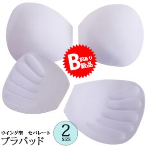 (B級品)(訳有り)(返品不可)ブラパッド1ペアブラインサートカップ