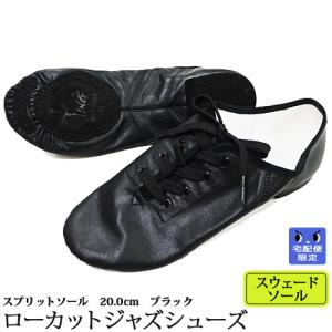 ジャズダンスシューズ ローカット スウェードソール